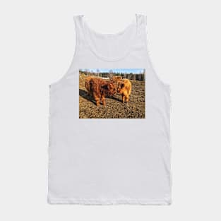 Scottish Highland Cattle Calves 1978 Tank Top